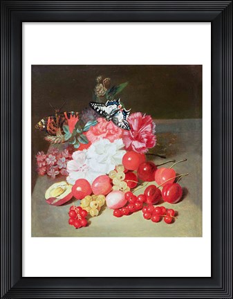 Framed Still Life with Butterflies Print
