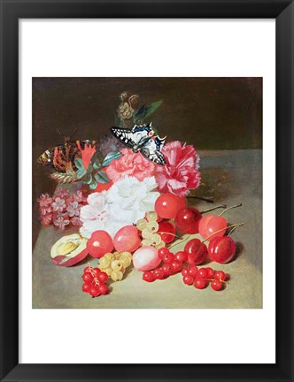 Framed Still Life with Butterflies Print