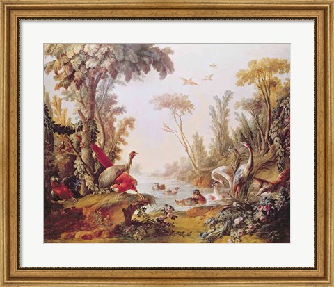 Framed Lake with geese, storks, parrots and herons, from the Salon of Gilles Demarteau Print