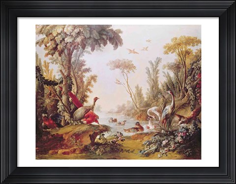 Framed Lake with geese, storks, parrots and herons, from the Salon of Gilles Demarteau Print