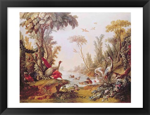 Framed Lake with geese, storks, parrots and herons, from the Salon of Gilles Demarteau Print