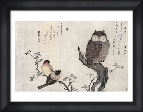 Framed Owl and two Eastern Bullfinches Print