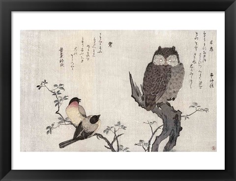 Framed Owl and two Eastern Bullfinches Print
