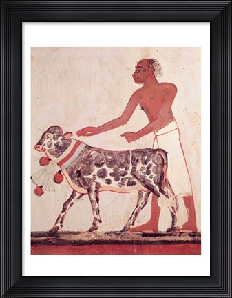 Framed Peasant leading a cow to sacrifice Print
