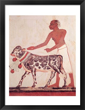 Framed Peasant leading a cow to sacrifice Print