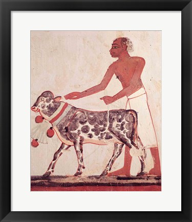 Framed Peasant leading a cow to sacrifice Print