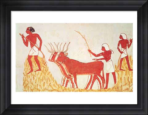 Framed Using cows to trample wheat, from the Tomb of Menna Print
