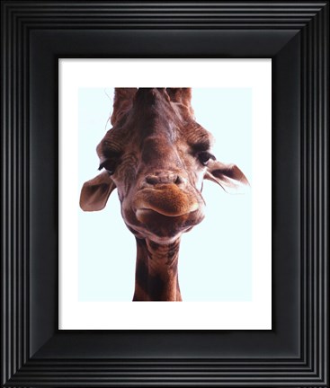 Framed Giraffe Face Print