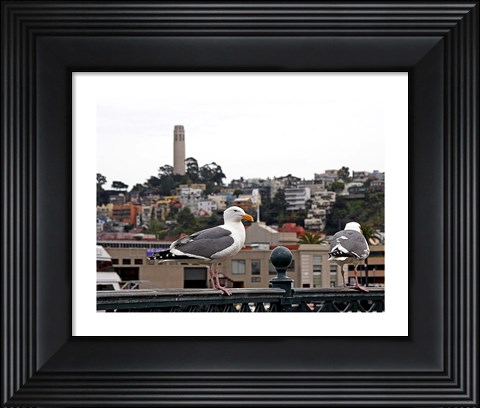 Framed San Francisco Seen From the Bay Print