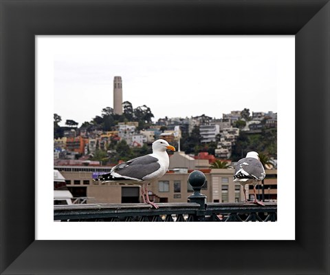 Framed San Francisco Seen From the Bay Print