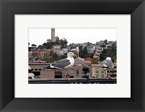 Framed San Francisco Seen From the Bay Print