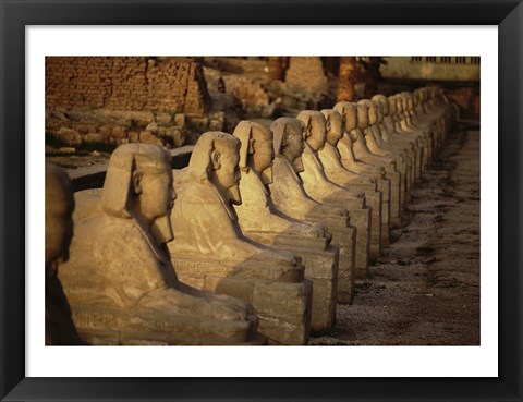 Framed Avenue of the Sphinxes Karnak Temple Luxor Egypt Print