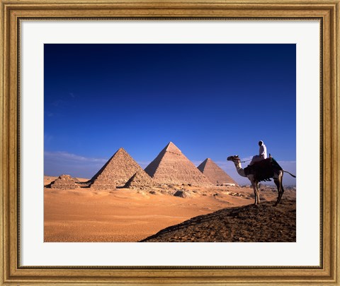 Framed Riding a camel near pyramids, Giza Pyramids, Giza, Egypt Print