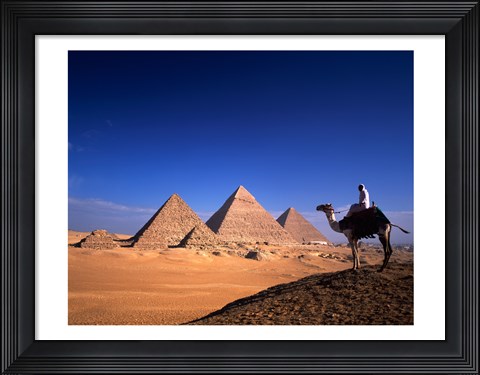 Framed Riding a camel near pyramids, Giza Pyramids, Giza, Egypt Print