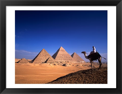 Framed Riding a camel near pyramids, Giza Pyramids, Giza, Egypt Print