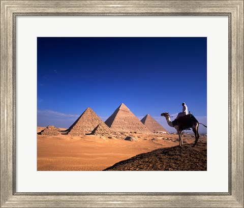 Framed Riding a camel near pyramids, Giza Pyramids, Giza, Egypt Print