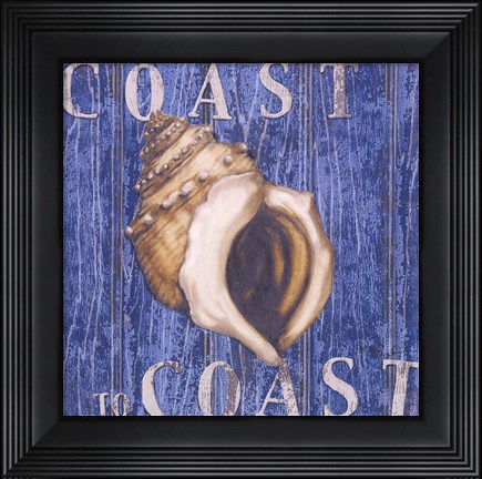 Framed Coastal USA Conch Print