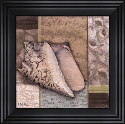Framed Santa Rosa Shell I Print