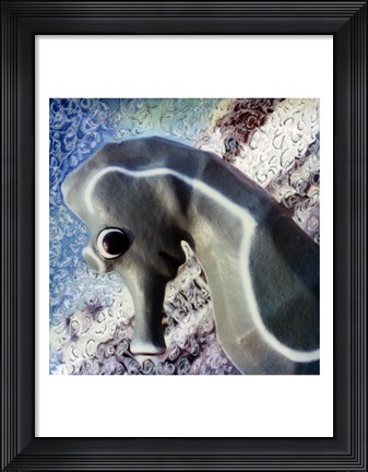 Framed Profile of playground seahorse Print
