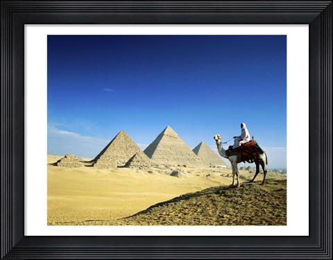 Framed Man riding a camel near the pyramids, Giza, Egypt Print