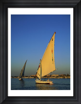 Framed Sailboats sailing in a river, Nile River, Luxor, Egypt Print