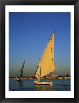 Framed Sailboats sailing in a river, Nile River, Luxor, Egypt Print