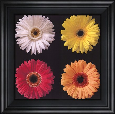 Framed Gerber Group I Print