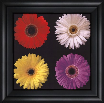 Framed Gerber Group II Print