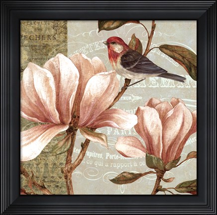 Framed Magnolia Collage I Print