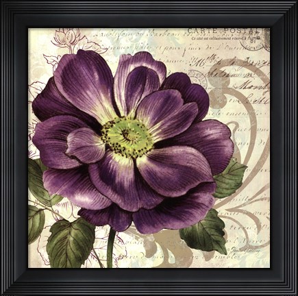 Framed Study in Purple I Print