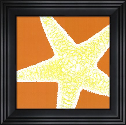 Framed Graphic Shell I Print