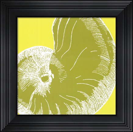 Framed Graphic Shell II Print