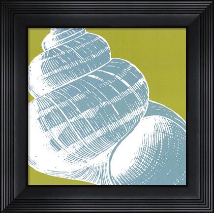 Framed Graphic Shell III Print