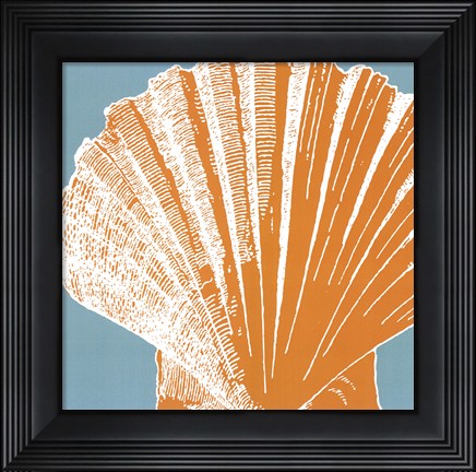 Framed Graphic Shell IV Print