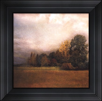 Framed Autumn Horizon II Print