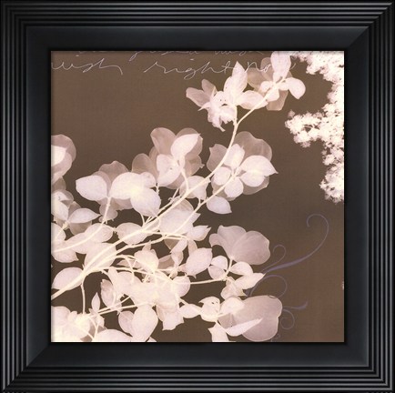 Framed Wishes &amp; Leaves I Print
