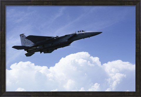 Framed U.S. Air Force F-15 Print