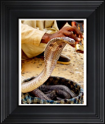 Framed Cobra in Basket Print
