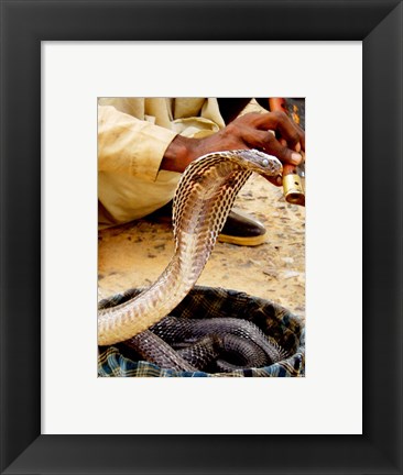 Framed Cobra in Basket Print