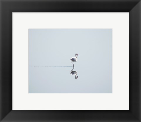 Framed Flamingo Solo Print