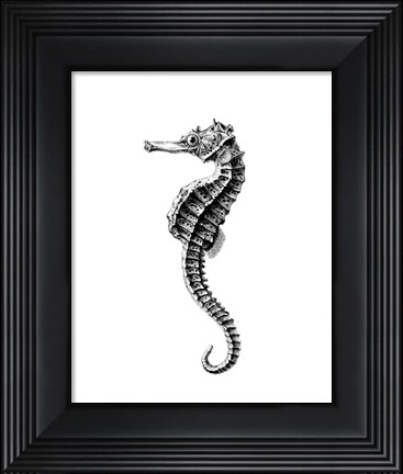 Framed Seahorse Print