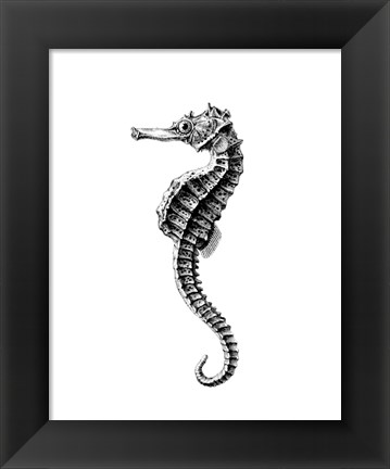 Framed Seahorse Print