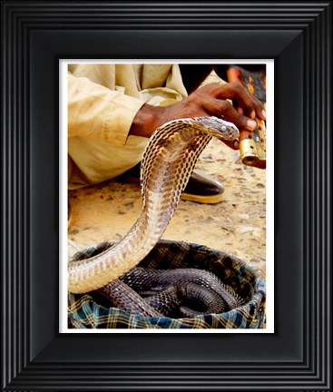 Framed Snake in a Basket Print