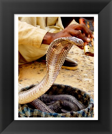 Framed Snake in a Basket Print