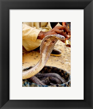 Framed Snake in a Basket Print