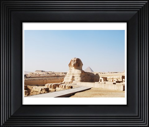 Framed Sphinx Print