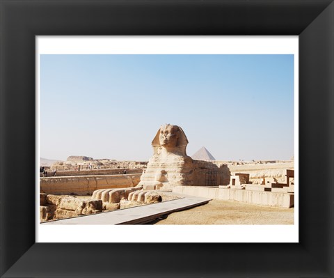 Framed Sphinx Print