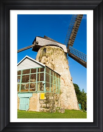 Framed Traditional windmill at a sugar mill, Morgan Lewis Sugar Mill, Scotland District, Barbados Print