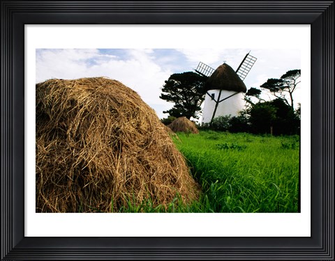 Framed Traditional windmill in a field, Tacumshane Windmill, Ireland Print