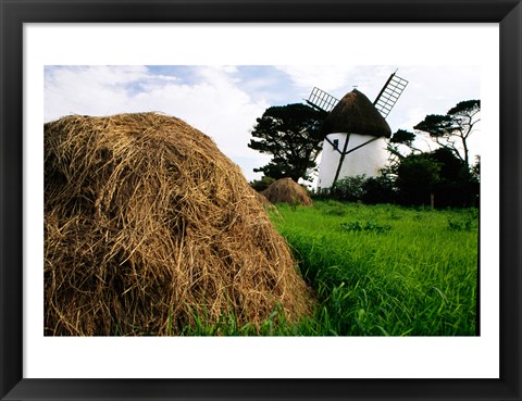 Framed Traditional windmill in a field, Tacumshane Windmill, Ireland Print
